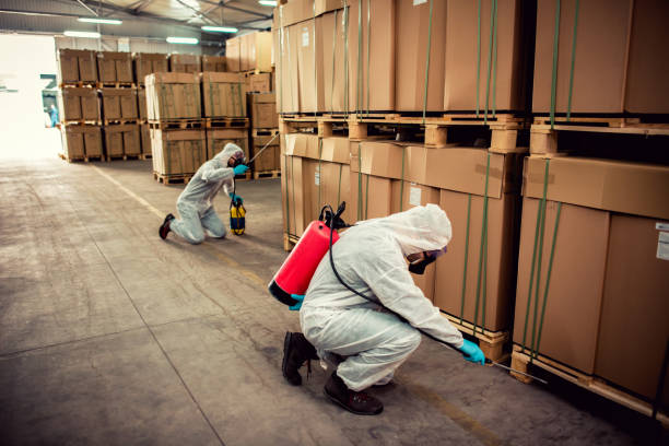 Best Mosquito Control Services  in Lexington, SC