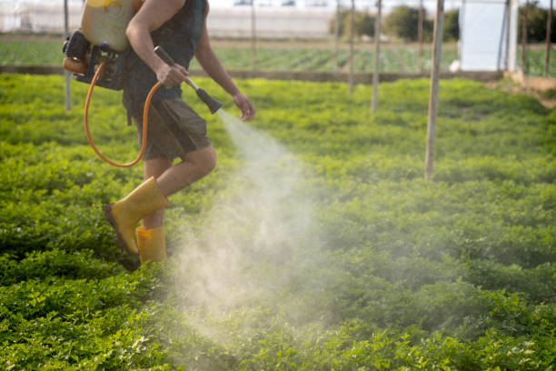 Best Ant Control Services  in Lexington, SC