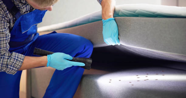 Best Mosquito Control Services  in Lexington, SC
