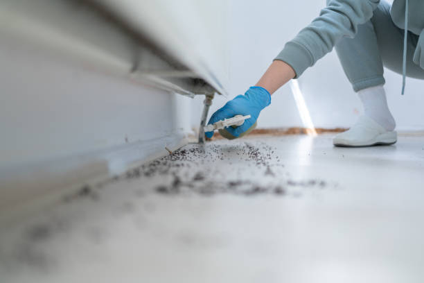 Best Affordable Pest Control Services  in Lexington, SC