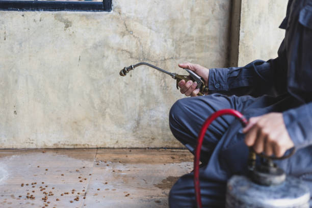 Best Residential Pest Control  in Lexington, SC